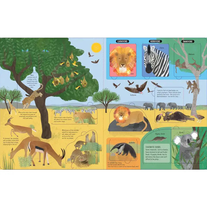 Animals Lift Flap