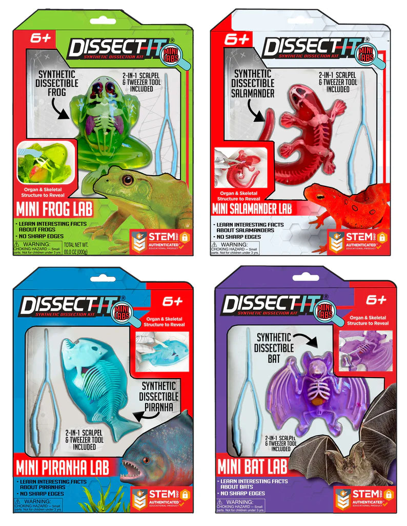 Dissect IT - Mini Asst