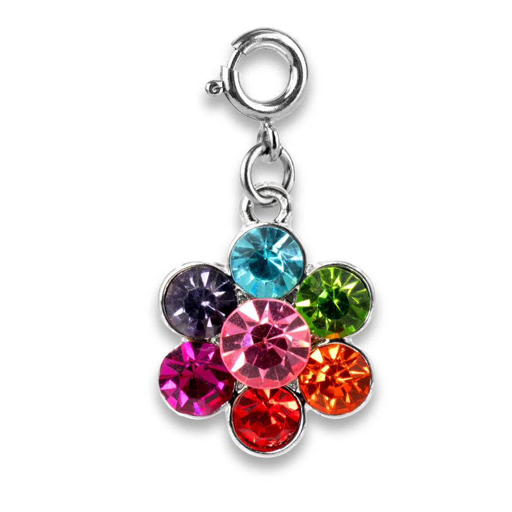 Charm IT Charm Asst