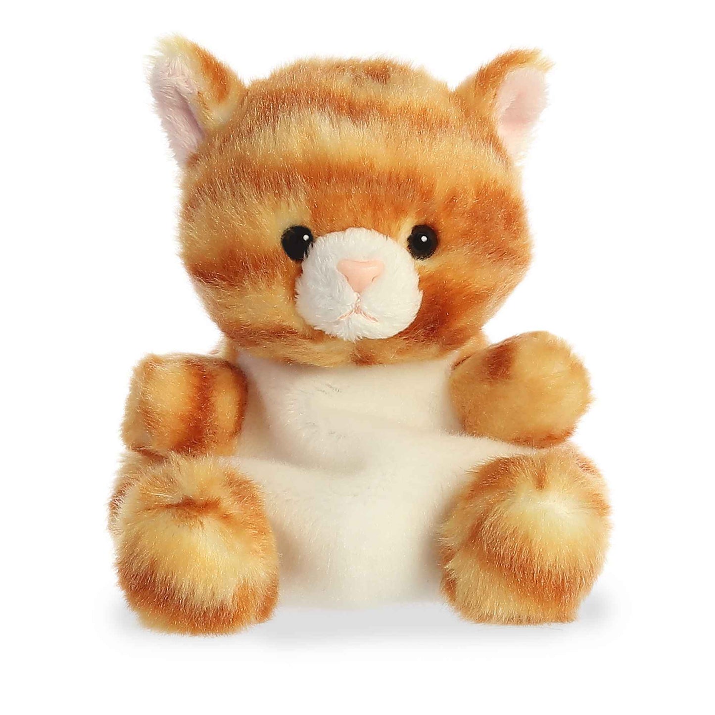 Meow Kitty 5 in Palm Pals