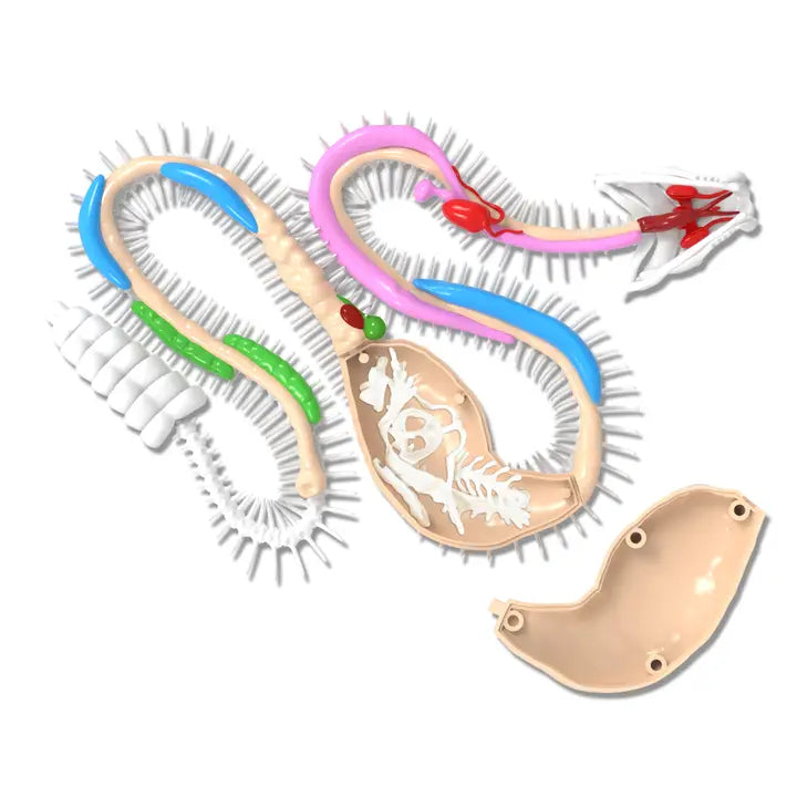 Dissect It Rattlesnake Super Lab