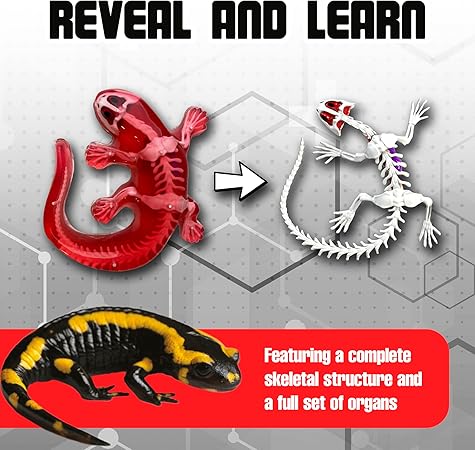 Dissect IT Salamander