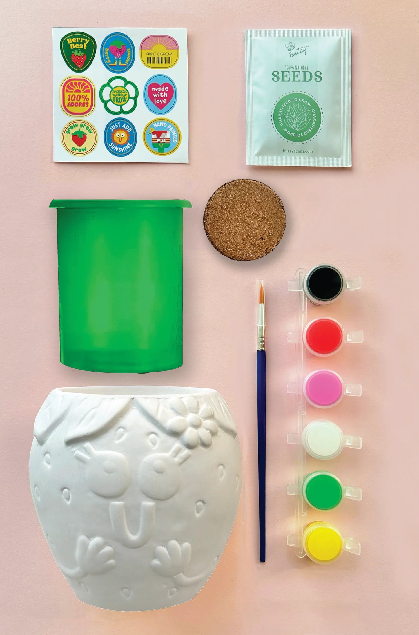 Paint & Grow Strawberry