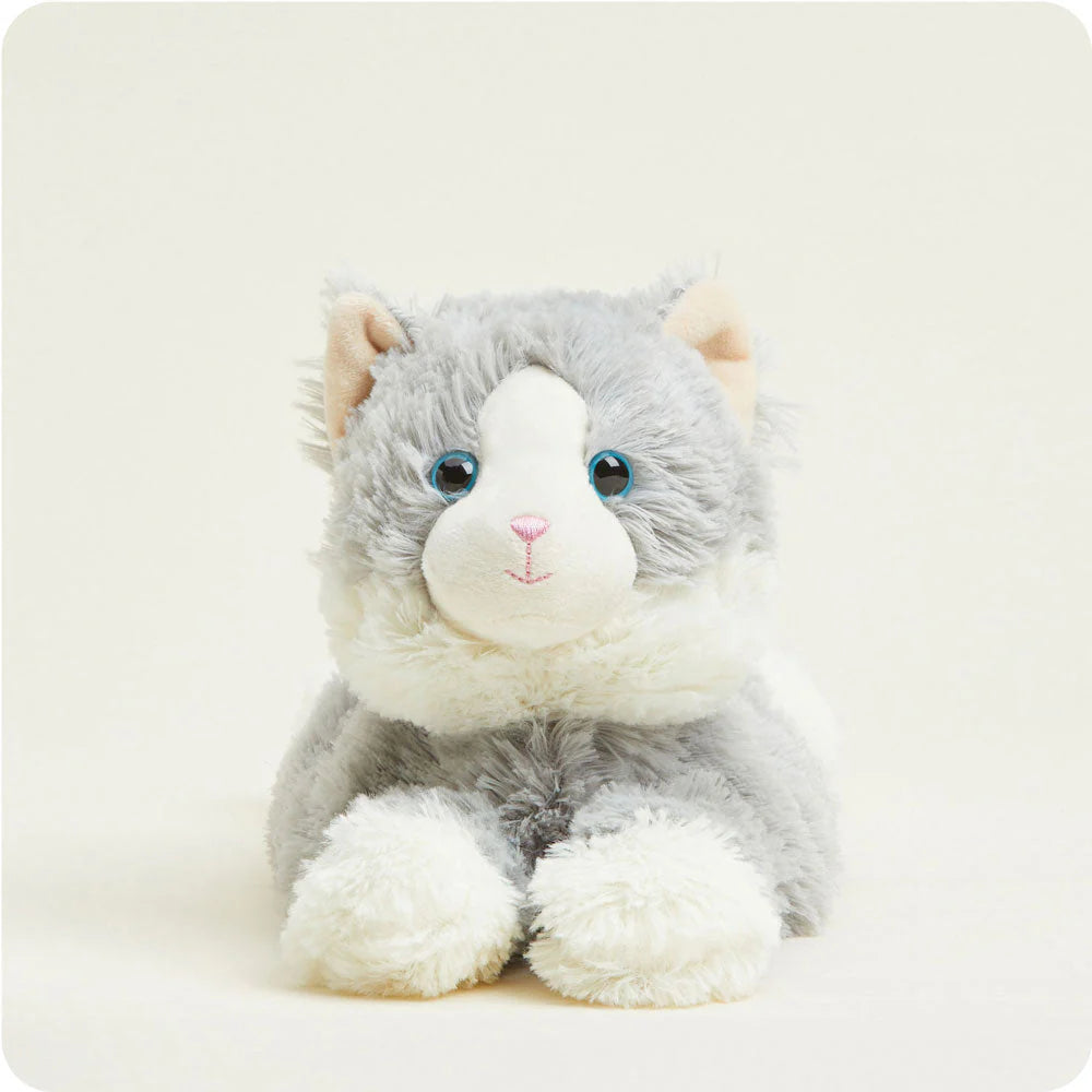 Gray Laying Down Cat Warm