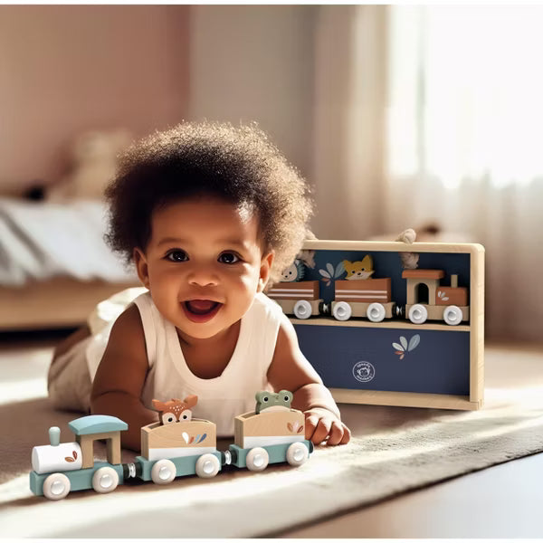 Train Boxed Set and Case
