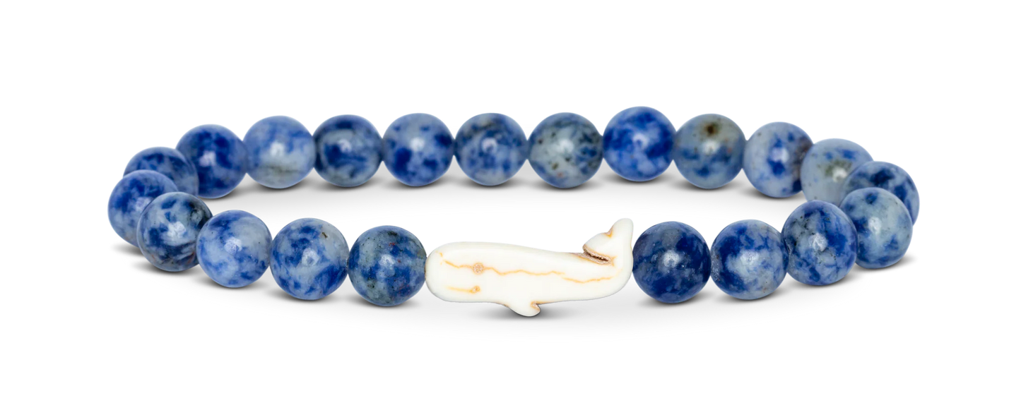 Whale Coastal Blue Fahlo