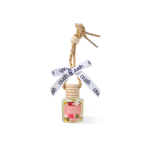 Hanging In There Scent Diffuser