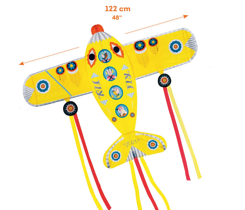 *** Maxi Plane Kite
