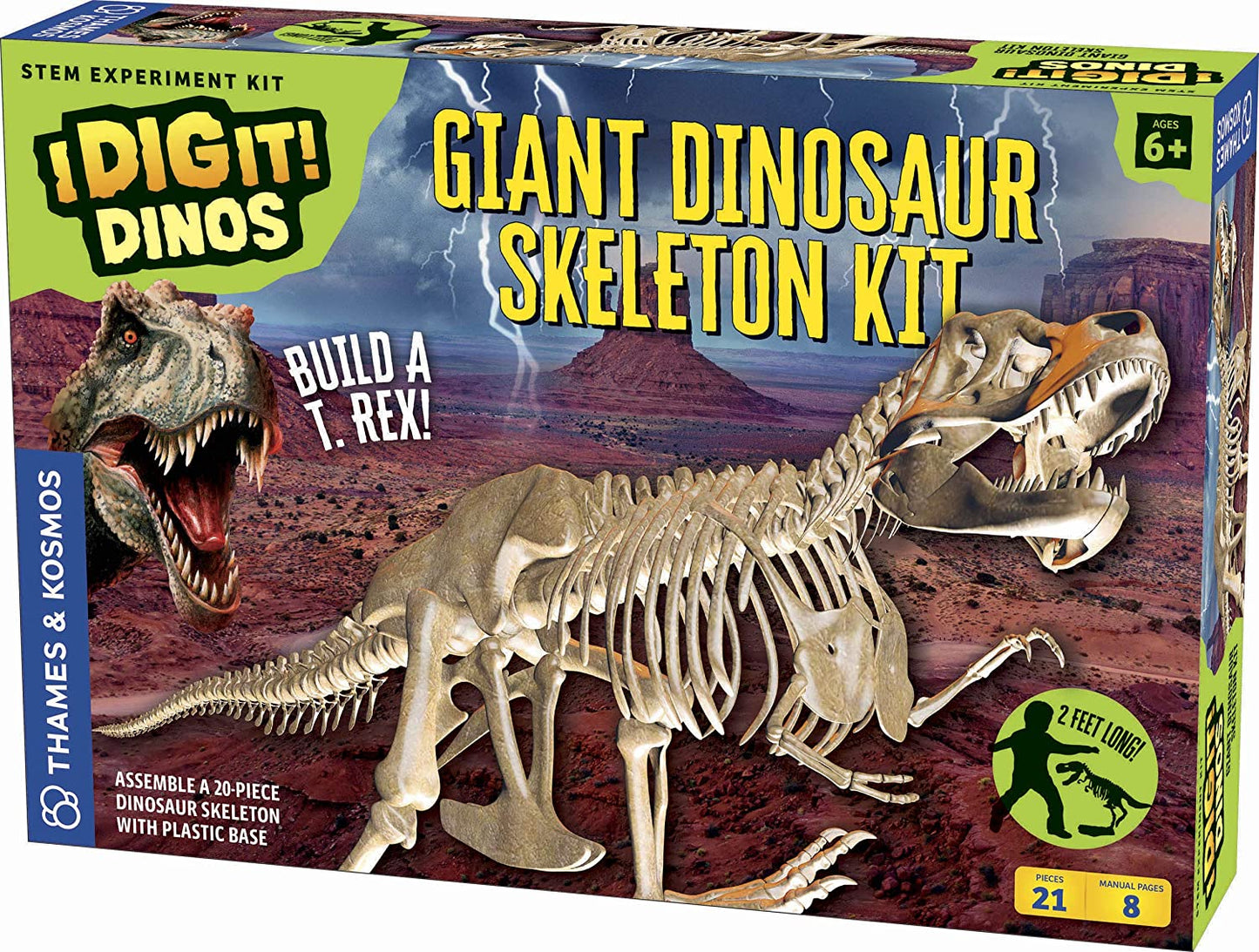 *** Giant Dinosaur Skelet