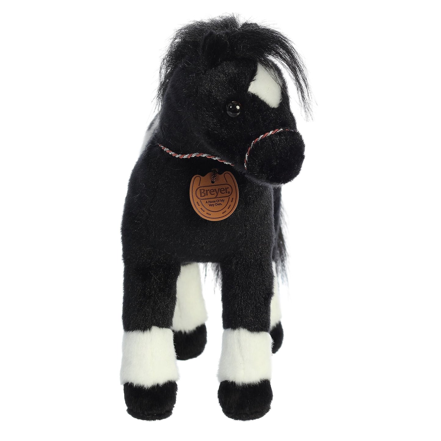 Black Appaloose 13