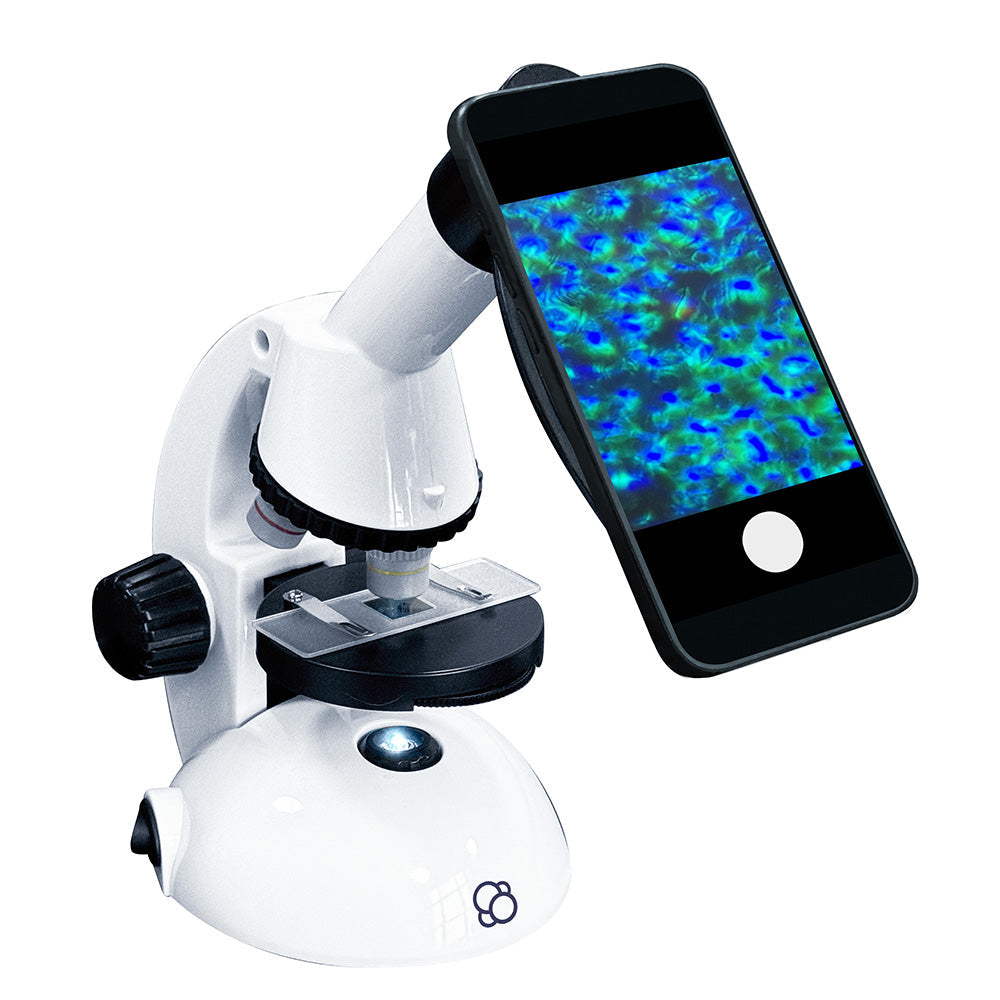 Microscope W/ Smartphone