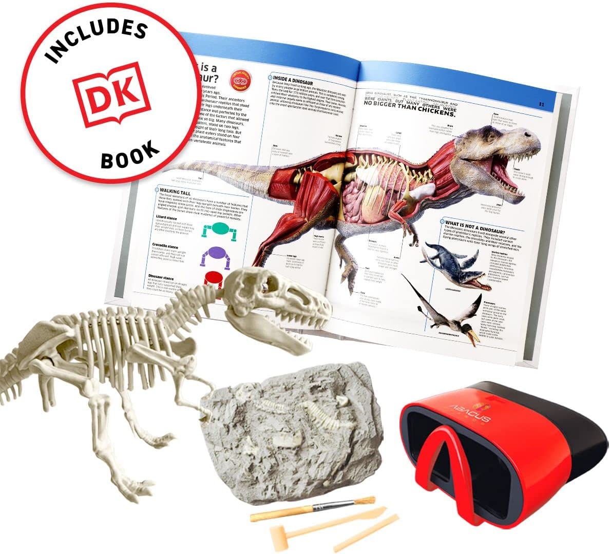 Virtual Reality Dinos *