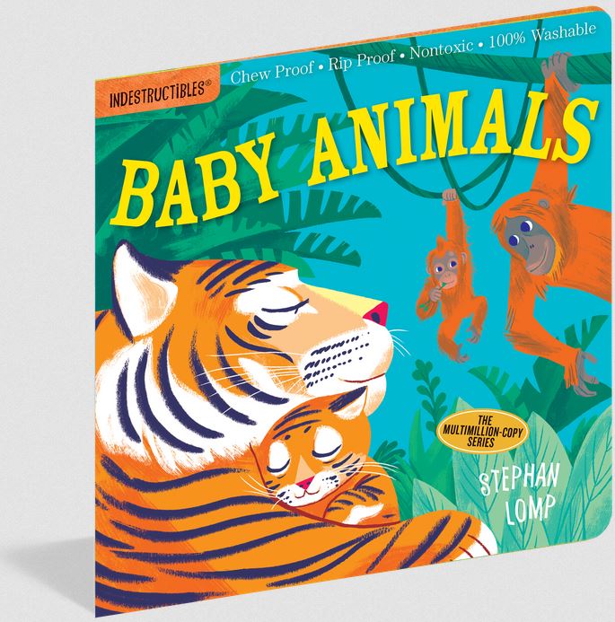 Indestructible Baby Anima