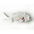Dissect IT Piranha