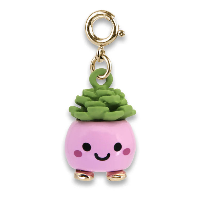Charm IT Charm Asst