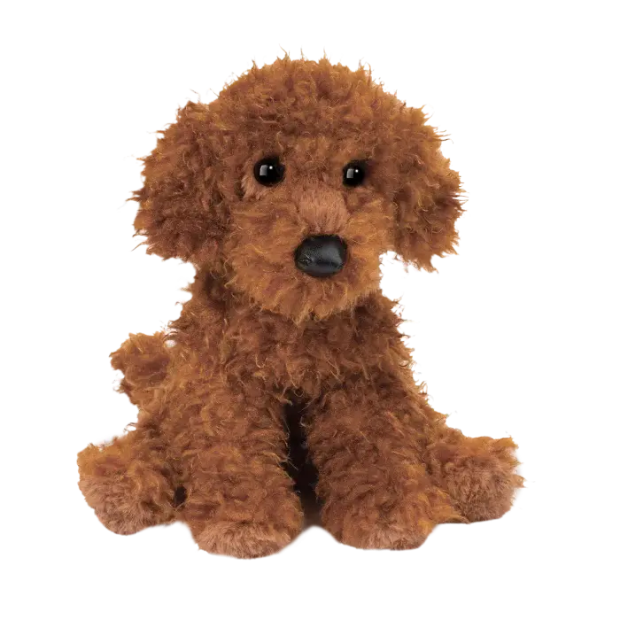 Ginger Miniature Poodle