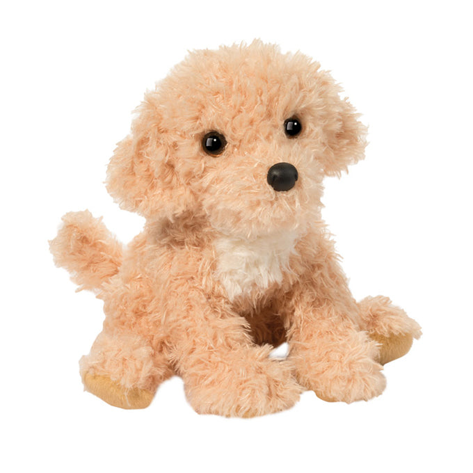 Noodle Goldendoodle