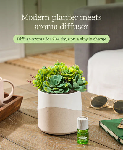 Plant Diffuser Succulent