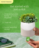 Plant Diffuser Succulent