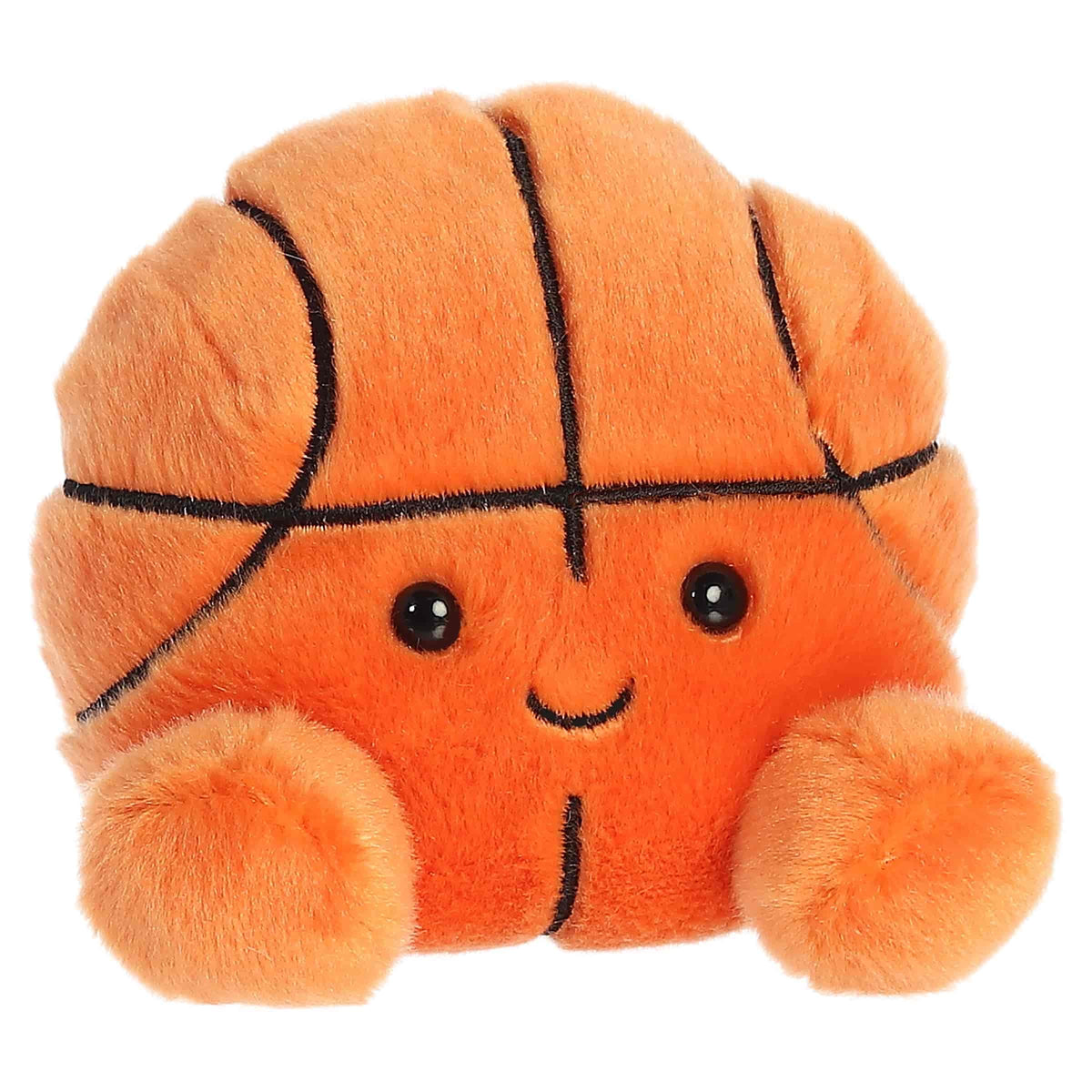 Hoops Basketball 5 in Palm Pals