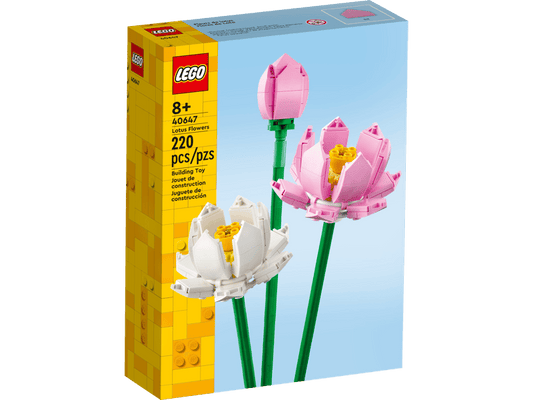 Lotus Flowers