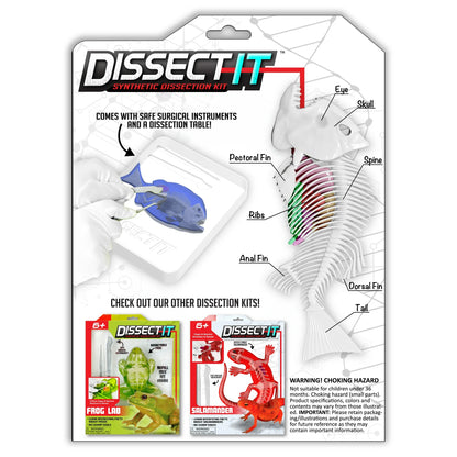 Dissect IT Piranha