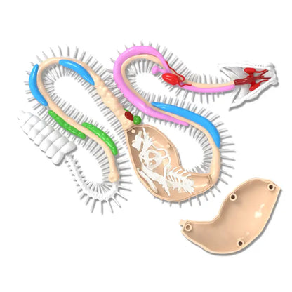 Dissect It Rattlesnake Super Lab