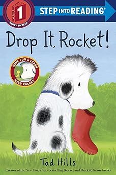 Drop It, Rocket! SIR