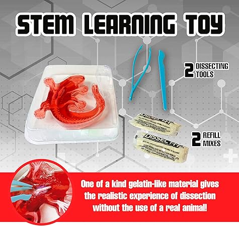 Dissect IT Salamander