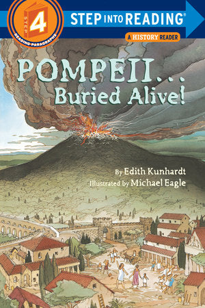 Pompeii Buried Alive SIR