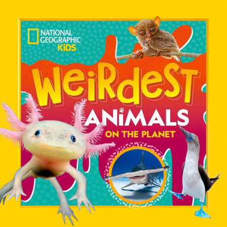 Weirdest Animals on Planet