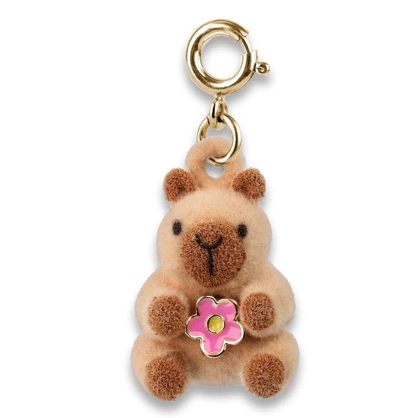 Charm IT Charm Asst