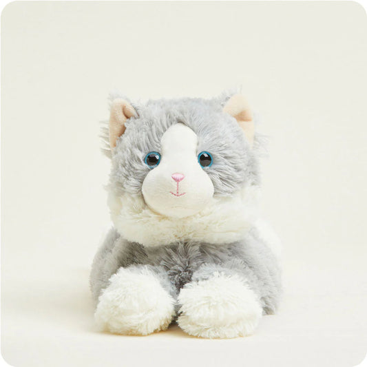 Gray Laying Down Cat Warm