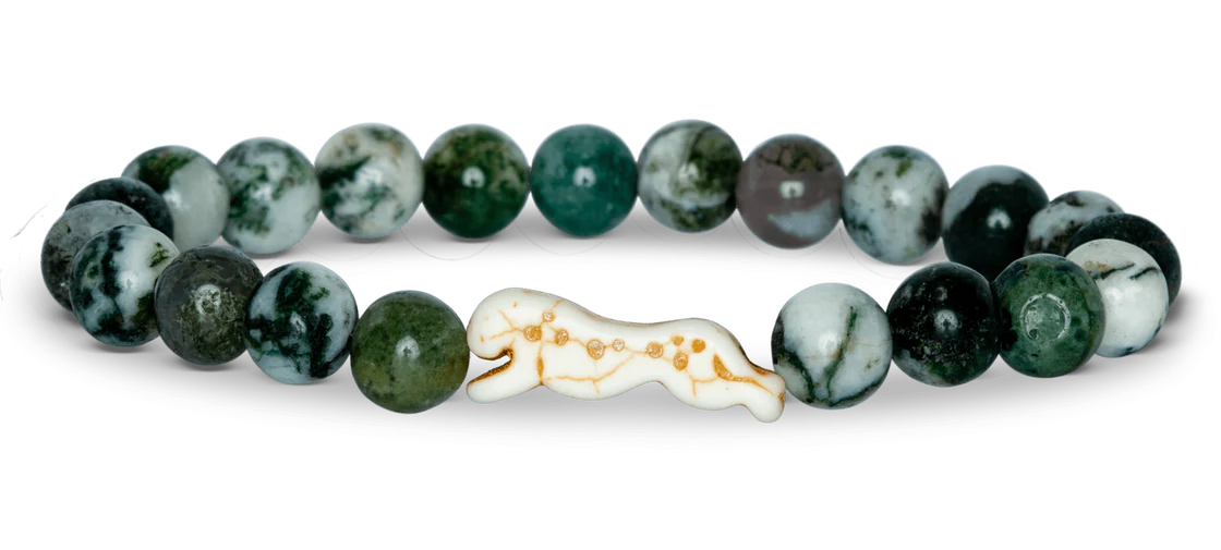 Cheetah Acacia Fahlo