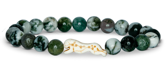 Cheetah Acacia Fahlo