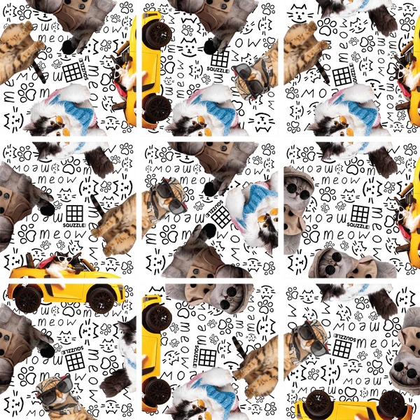 Cool Cats Squzzle