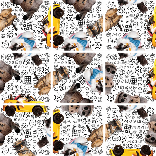 Cool Cats Squzzle