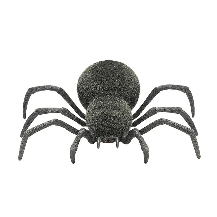 RC Spooky Spider