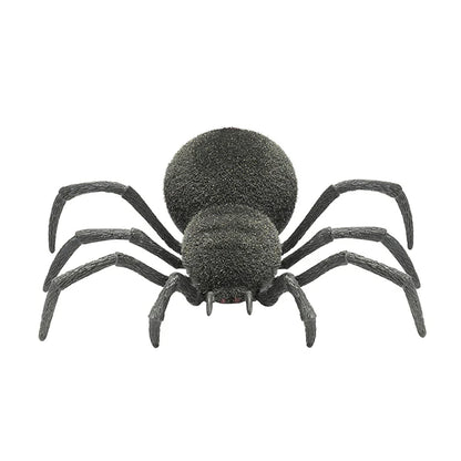 RC Spooky Spider