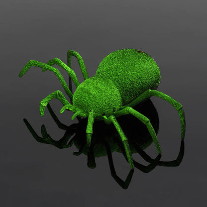 RC Spooky Spider