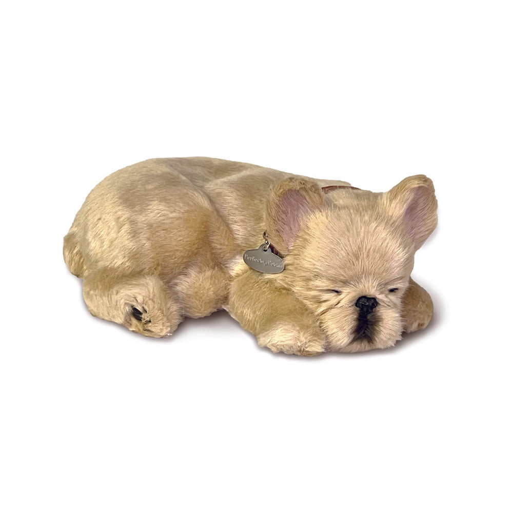 French Bulldog Perfect Petzzz