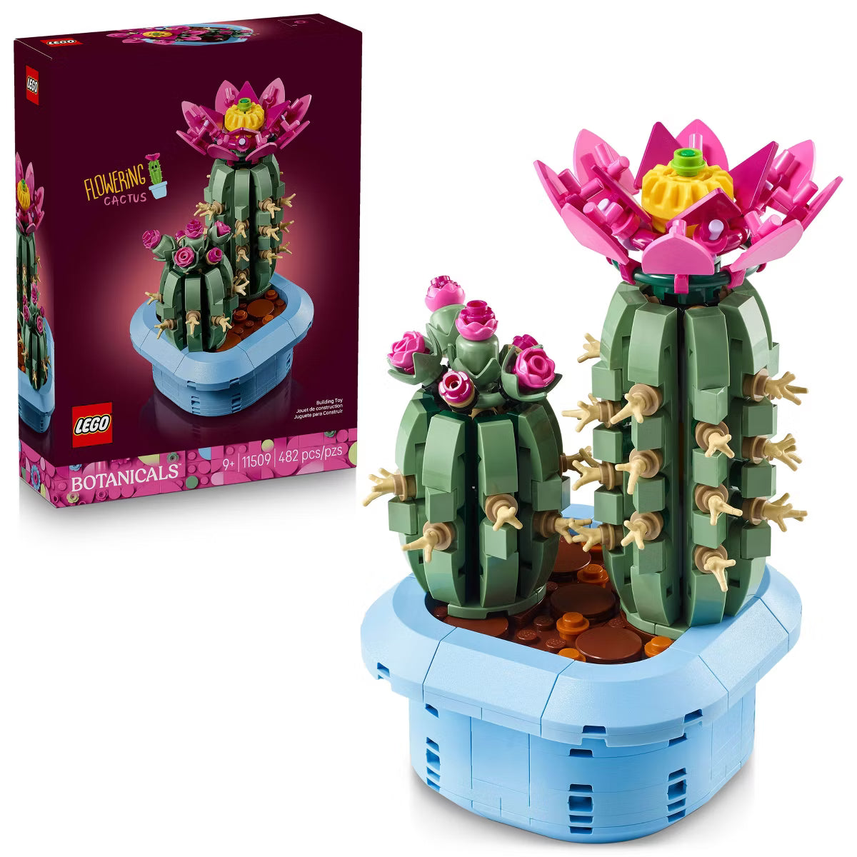 BOTANICALS Flowering Cactus