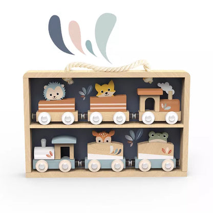 Train Boxed Set and Case