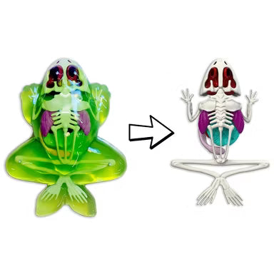 Dissect IT Frog