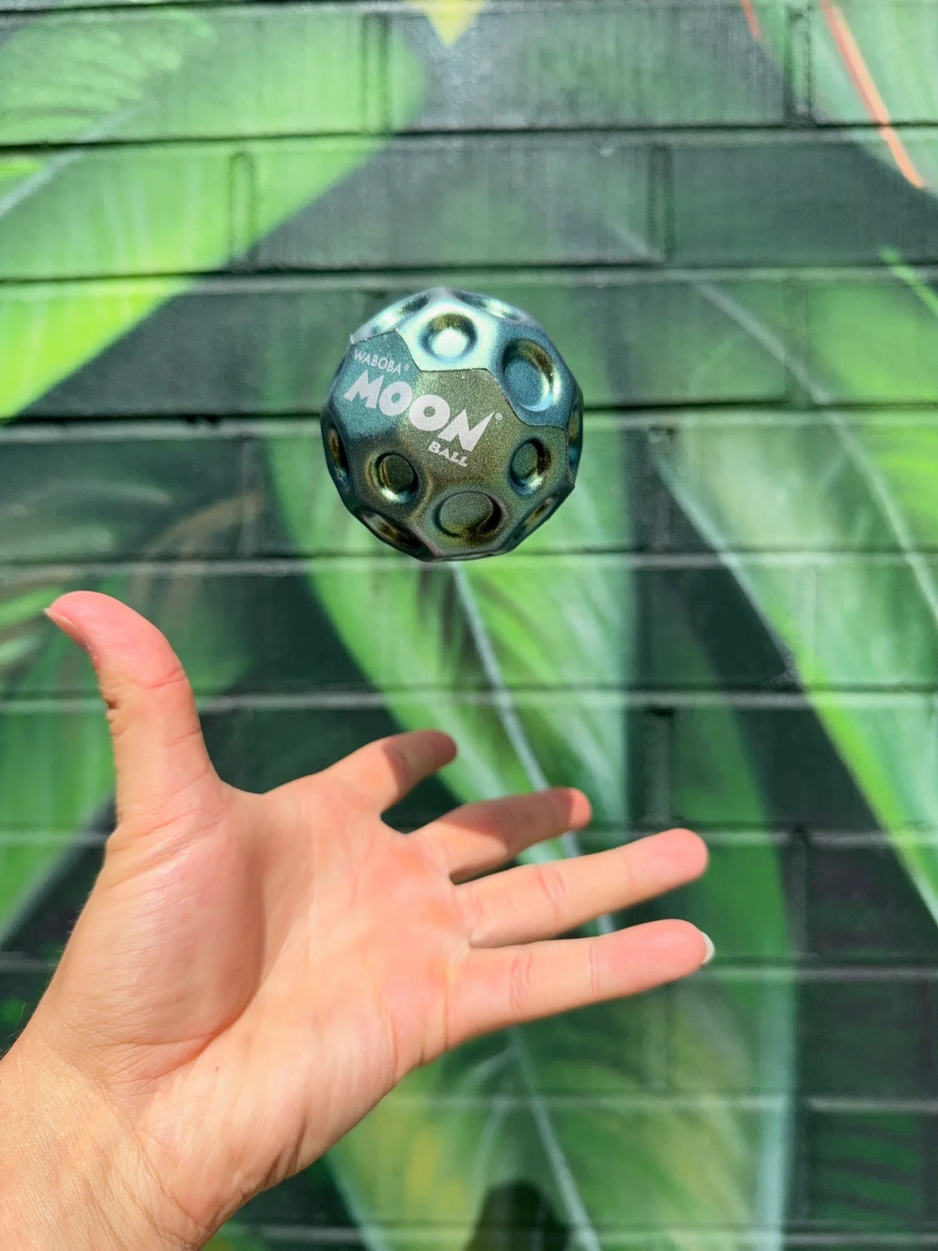 Metallic Moon Ball Waboba