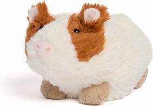 Guinea Pig Jr Warmie