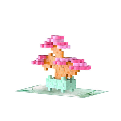 Play Plant Packs Plus Plus