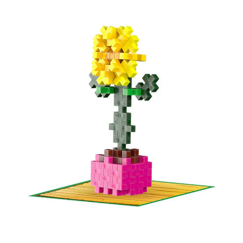 Play Plant Packs Plus Plus