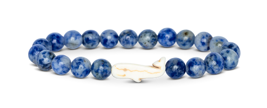 Whale Coastal Blue Fahlo