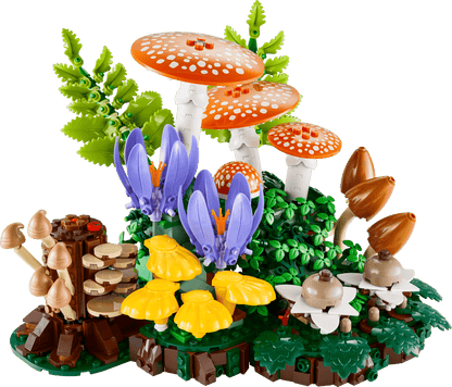 Woodland Mushrooms